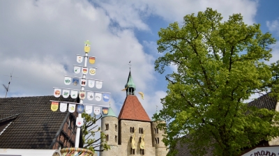 Maibaum_1